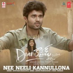 Movie songs of Nee Neeli Kannullona Audio Song Download