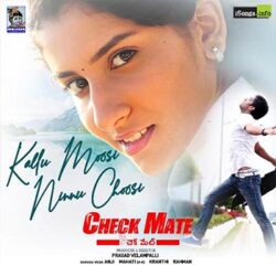 Movie songs of Kallu Moosi Ninnu Choosi | Check Mate