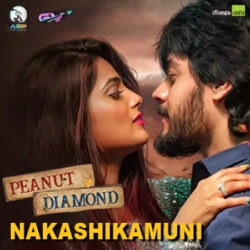 Movie songs of Nakashikamuni from Peanut Diamond