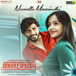 Movie songs of Neevalle Maarindhi Song Download