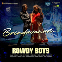 Movie songs of Brindavanam song download from Rowdy Boys Telugu