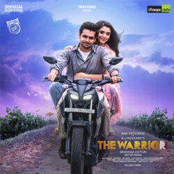 Colours Song Download from The Warrior Telugu 2022 songs Download Movie songs of Colours Song Download from The Warrior Telugu 2022