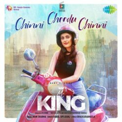 Chinni Choodu Chinni Song Download from Mr King 2022 songs Download Movie songs of Chinni Choodu Chinni Song Download from Mr King 2022
