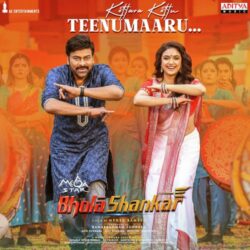 Kottara Kottu Teenumaaru song download songs Download Kottara Kottu Teenumaaru song Bholaa Shankar