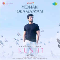 Yedhaki Oka Gaayam song download Kushi songs Download Yedhaki Oka Gaayam song Kushi Telugu Movie songs